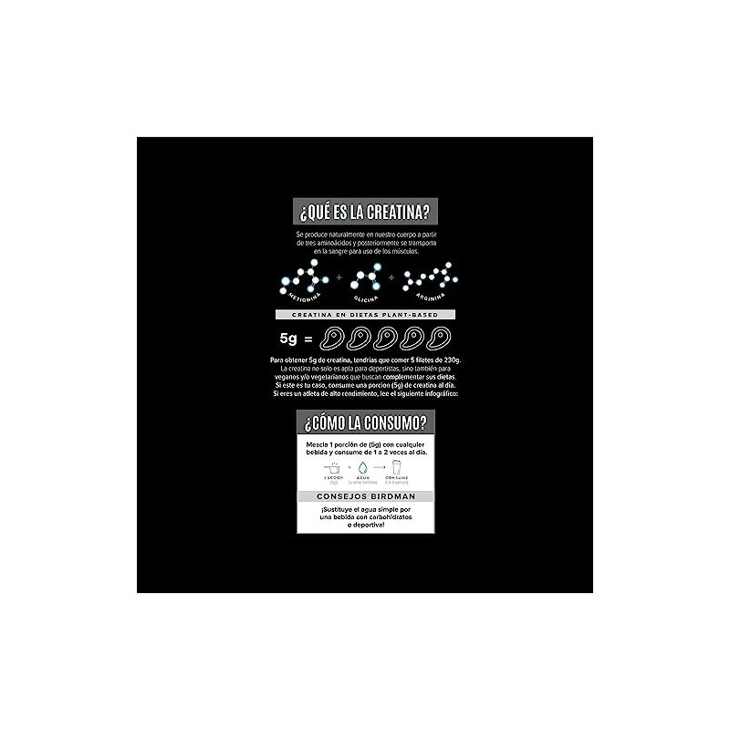 Creatina Monohidratada Birdman 600g