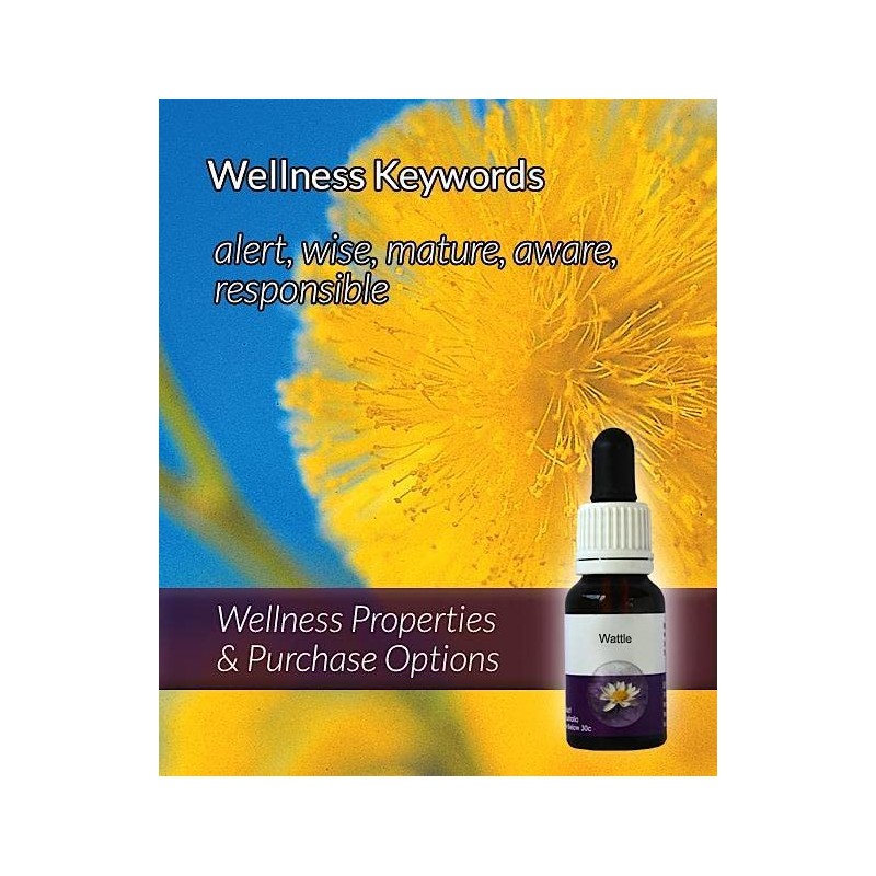 Living Essences Wattle Flower Essence 100 ml
