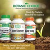 Botanic Choice Fast Act Joint Comfort with NEM Natural Eggshell