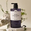 Happy Bath 해피바스 라벤더 바디워시 910g Happy Bath Lavender Body