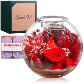 Aoshin Mothers Day Gifts for Mom, Preserved Flowers Rose in Glass Dome with Aromatherapy Candle, Eternal Flowers Gift Set for Women Wife Girlfriend Mom Grandma - Anniversary Birthday Gift, Red