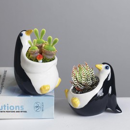 ourhommie Penguin Succulent Planter Pots 2 Pack Ceramic Air Plants Stand Holder, Unique Cactus Flower Vase Display Container, Mini Small Pots with Drainage Hole for Home Office Desk Garden Decor