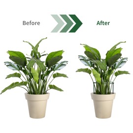 12 Pack Plant Support Stakes,4mm Thick Metal Peony Support,Plant Cage with Twist Ties and Plant Labels,15.7 Inch Plant Supports for Outdoor and Indoor Plants Peony,Tomato,Hydrangea,Rose,Vine