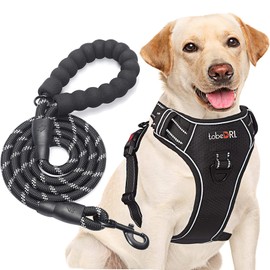 tobeDRI No Pull Dog Harness Adjustable Reflective Oxford Easy Control Medium Large Dog Harness with A Free Heavy Duty 5ft Dog Leash (S (Neck: 13"-18", Chest: 17.5"-22"), Black Harness+Leash)