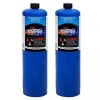 BLUEFIRE 2x Standard Propane Gas Fuel Cylinder / Canister,14 oz,