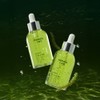 mommycare Sea Grape Ampoule 50ml - mommycare Sea Grape Ampoule