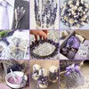 Dried Lavender Flowers Bundles, Natural Dry Lavender Flowers 220-240 Stems