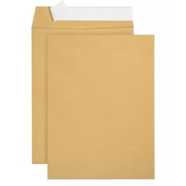 Stylus 20 PCS -9x12 Kraft Brown Self Seal Catalog Envelopes with Peel Mailing