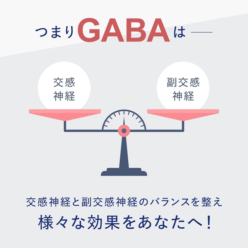 Vitabrid Daily GABA Renewal Sleep Supplement, 30 Day Supply, 30