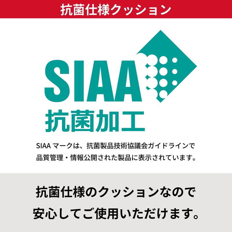 SWANS (Swans) Made in Japan Swimming Goggles VALKYRIE Valkyrie SR-72NPAFAB