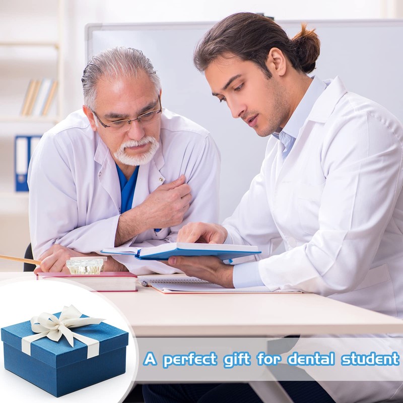 Outus Disease Teeth Model Dental Implant Teeth Model with Removable