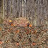 BASSDASH Camo Netting Camouflage Mesh Water Resistant for Hunting Blind
