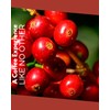 La Cumbre Specialty Coffee Ground Medium Roast, Arabica Beans, Low