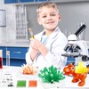 Crystals Breeding Experiment Set for Children, 4 Colours Dinosaur Crystals