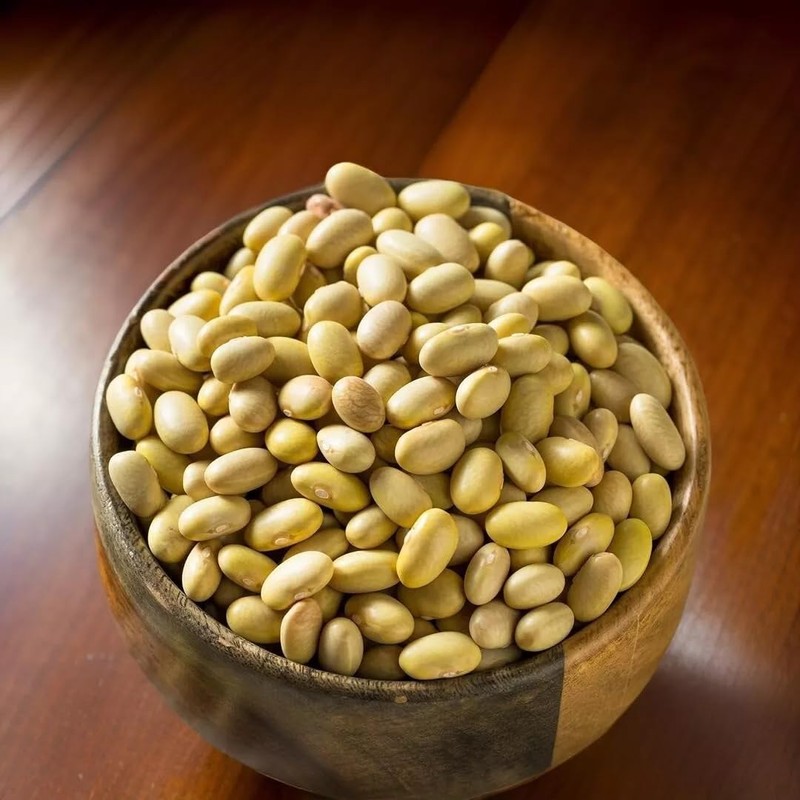 Mayocoba Peruano Dry Beans Frijoles | Bulk (6 Pounds)