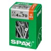 ABC SPaX T-Star Plus-The All-Purpose Screw 4.5 x 70 MM