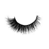 Pooplunch False Eyelashes Fluffy Natural Cat Eye Look Wispy Extensions