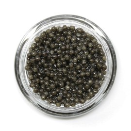 Royal Dark Beluga Hybrid Caviar - Huso/Baerii Sturgeon Roe - Giaveri Italian (1 ounce (28 grams))