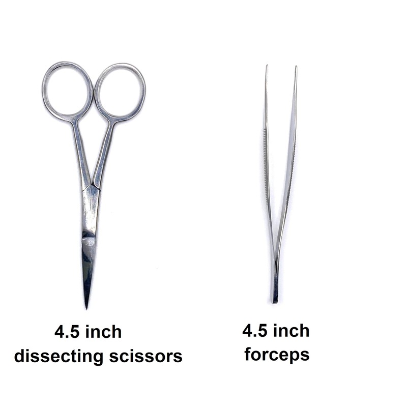 19 Piece Dissecting Kit Including Scissors, Forceps, Scalpel, and Probe