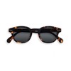 IZIPIZI Sunglasses with Case #C Brown