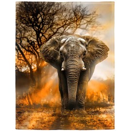 HommomH 60"x80" Orange African Elephant Blanket Soft Fluffy Fleece Throw for Women