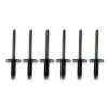 Quad Logic Polaris ATV UTV Snowmobile Replacement Blind Rivets (6
