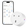 Oblinple Smart Plug 13A Alexa Plugs that Work with Alexa