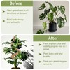 3 Pack Moss Pole, 28" 48" 63" Monstera Plant Support