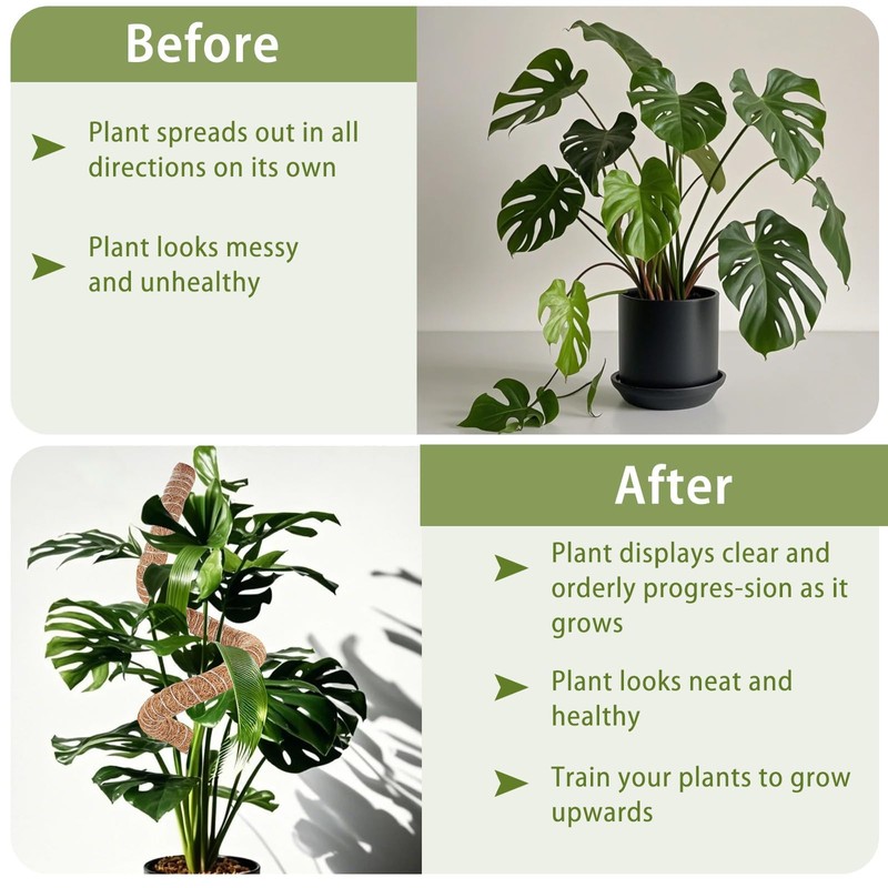 3 Pack Moss Pole, 28" 48" 63" Monstera Plant Support