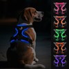 Joytale Light Up Dog Harness, No Pull Dog Harness USB