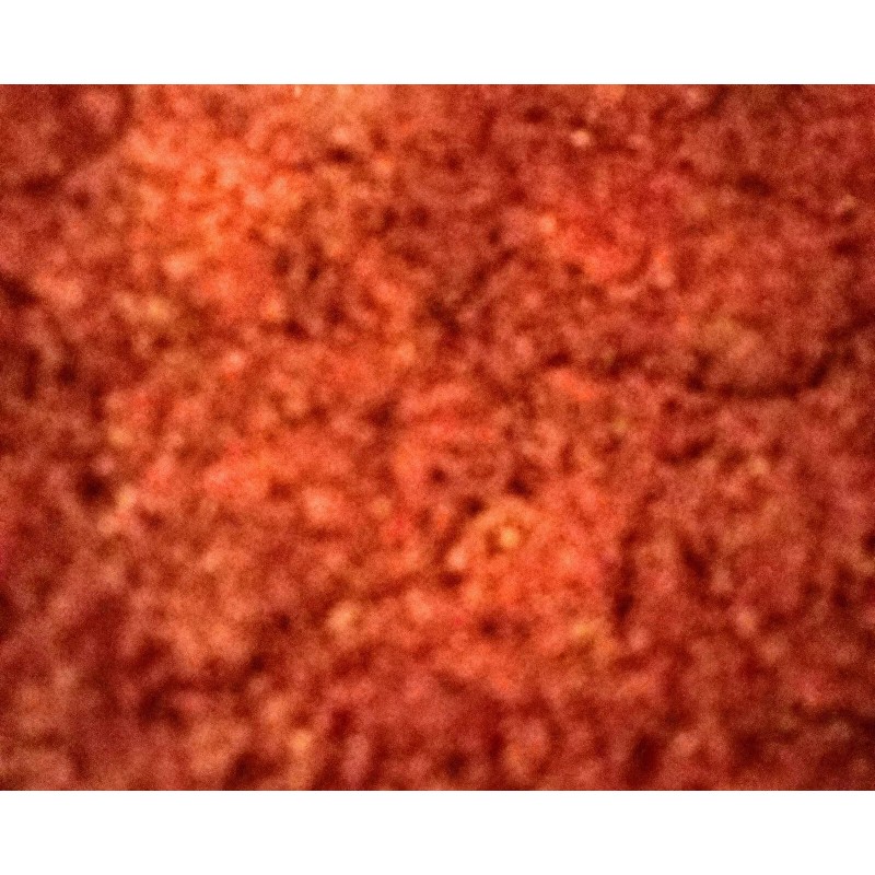 Homemade Ground Sumac All Natural 3 Ounces