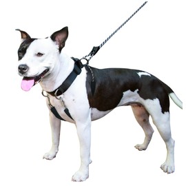 SPORN Dog Training Halter, Black, Medium