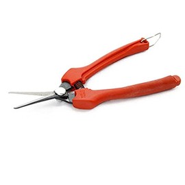 Bahco P129-19-BULK30 Pruning Grape Snips with Bent Slim Blades for Harvest/Thinning, 7.5-Inch
