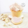 Food Colouring in Powder Form of Natural Origin 10 g