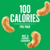 Emerald Nuts Salt and Pepper Seasoned Cashews 7ct (1-Pack), 100-Calorie