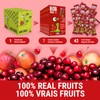 Bob Snail Fruit Strips Apple Sour Cherry 7x84g (Pack of