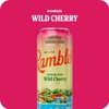 AUTX RAMBLER Sparkling Water, Texas Limestone Mineral Blend, Wild Cherry