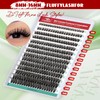 FADVAN Cluster Eyelash Extensions 280pcs 60D Lash Clusters DIY Lash