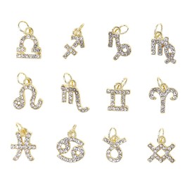 Ipetboom 12pcs Constellations Signs Nail Art Charms Rhinestone Manicure Decorations Alloy Jewelry Unique Manicure Charm Decorations