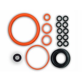 Saeco Parts Royal Gasket Set