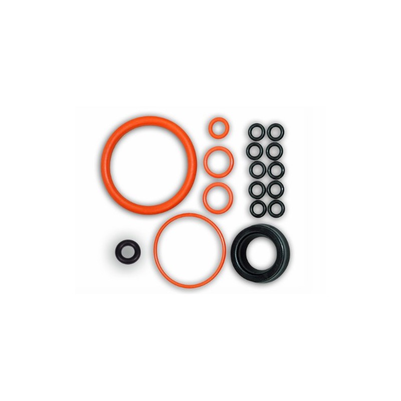 Saeco Parts Royal Gasket Set