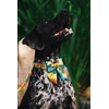 Unique style paws Spring Floral Print Dog Collar, Bow Tie