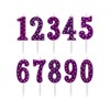 Papyrus Number Birthday Candles Pack, Purple Polka Dots (10-Count)
