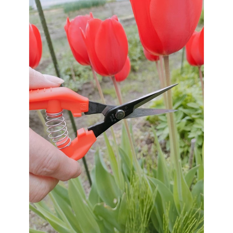 Chikamasa Chikamasa Gardening Shears Ultra Light with Case TP-530+CS Set