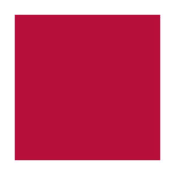 Sunday Paint Water-Based Glossy Urethane for Buildings, Red, 0.7 L
