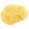 Poupy 246.6 Natural Sea Bath Sponge