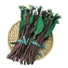 Yu Choy Sum Seeds - Kosaitai - Hon Tsai Tai - 1 Oz ~8600 Seeds - Non-GMO, Heirloom - Asian Garden Vegetable
