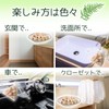 kicoriya Japanese Cypress Cube Block Cypress Chip Potpourri 3.2 oz