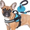Haapaw Essential Dog Harness, No Pull Pet Vest with 3