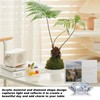 Elegant Christmas Name Place Cards – 24 Pack Acrylic Table